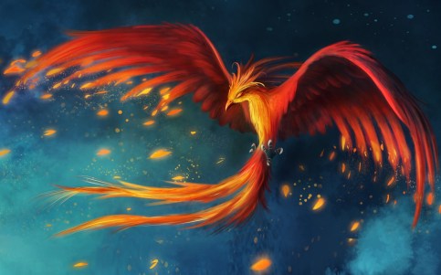 ave fenix